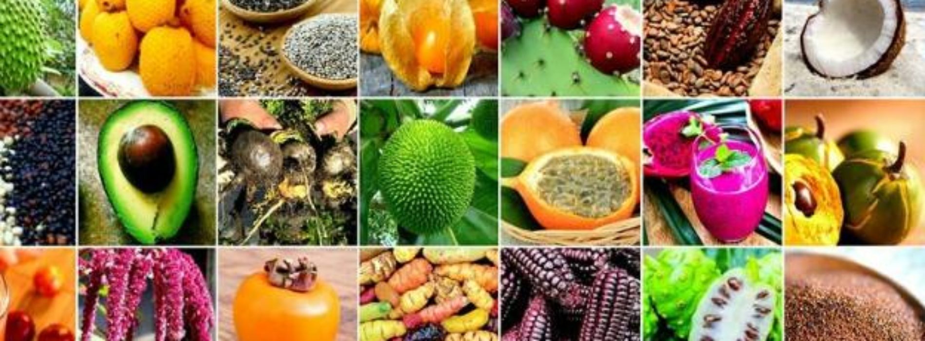 Exportaciones peruanas de productos bajo denominación Superfoods