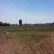 VENDO HERMOSO CAMPO DE 13 HECTAREAS 			 Km 11 Camino La Montaña Teno sector Santa Adela