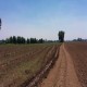 VENDO HERMOSO CAMPO DE 13 HECTAREAS 			 Km 11 Camino La Montaña Teno sector Santa Adela