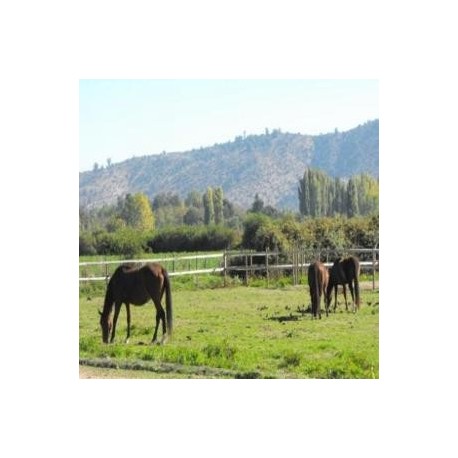 Venta Parcela Rústica en LAGO RAPEL