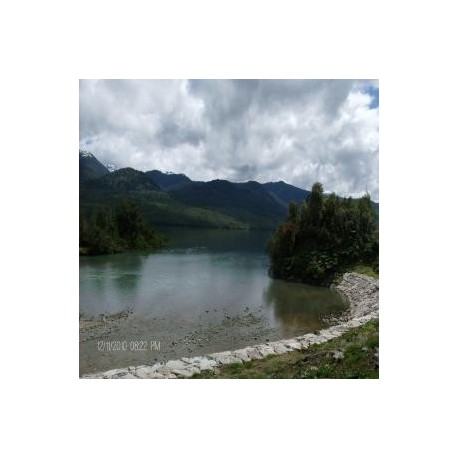 Orilla de mar y carretera austral