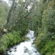 Orilla de mar y carretera austral