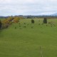 vendo campo en Ancud