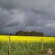 Venta de campo en Victoria