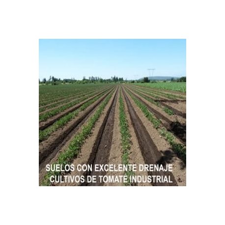 OPORTUNIDAD UNICA OFERTA CAMPO EN LONGAVI