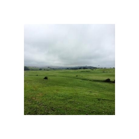 Campo en Venta, 300 Hás para Almendros y Viñedos