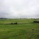 Campo en Venta, 300 Hás para Almendros y Viñedos