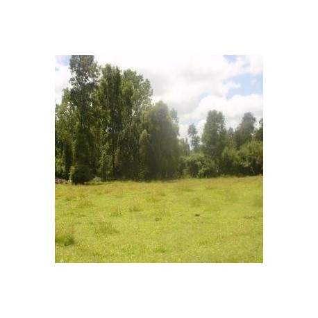 Vendo Hermoso campo de 44.70 Ha.