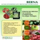 Berna Mezcla de extractos de plantas con acción fitofortificante y Protector contra plagas
