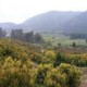 Predio Agrícola en Laguna Verde