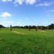 OPORTUNIDAD! CAMPO GANADERO EN LOS MUERMOS, X REGIÓN