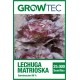 Lechuga Matrioska – 25 MX