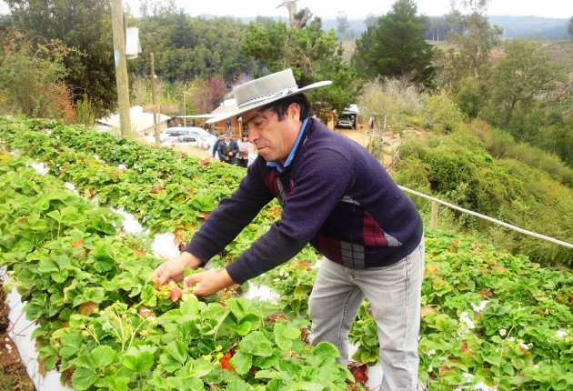 Realizarán prueba de suficiencia para operadores del programa de suelos en Biobío y Ñuble