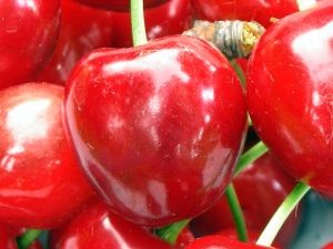 Sale el primer envío de cerezas argentinas a China