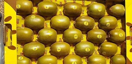 Kiwis amarillos Dorì, de Chile a Europa por aire