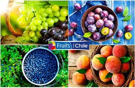 Mientras Chile despide el verano, Estados Unidos continúa recepcionando buenos volúmenes de frutas chilenas