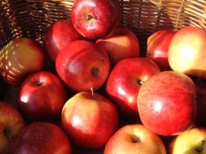 ¿Es correcto comer la manzana completa? Estudio explica los beneficios que contienen partes de la fruta
