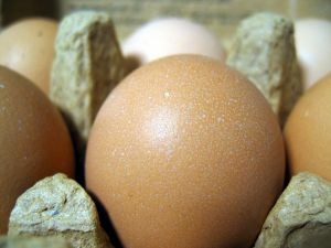 Producción de huevos rompe récord al primer semestre