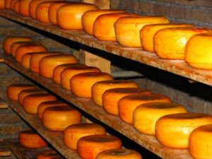 CESANTÍA PROVOCA ALZA EN LA DEMANDA DE QUESOS Y PEQUEÑOS FABRICANTES AUMENTAN SU PRODUCCIÓN