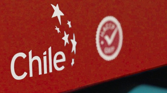 Promueven uso de la marca Chile entre empresas de Ñuble