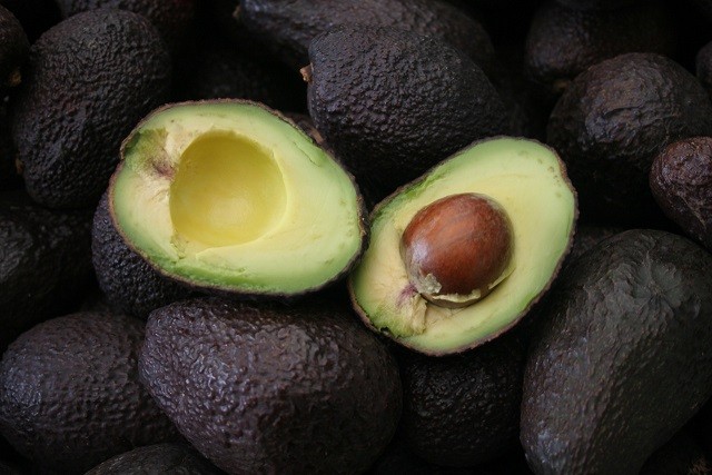 Mercado chino sigue aumentando demanda de aguacate chileno