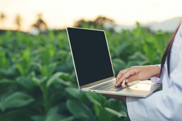 Último plazo para inscribirse en la modalidad online del Censo Agropecuario y Forestal: 21 de febrero de 2021 
