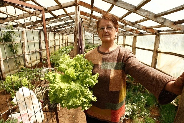 Mujeres Rurales En Aysén Evolución Y Cambio Hacia Los Nuevos Tiempos