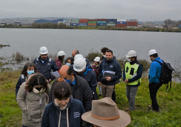 Ministros del Tribunal Ambiental recorren humedal Ojos de Mar de San Antonio