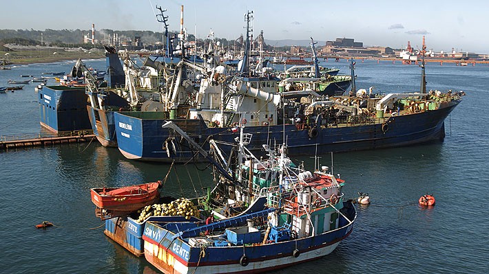 Desembarque pesquero de la Región del Biobío aumentó 65,8% en doce meses