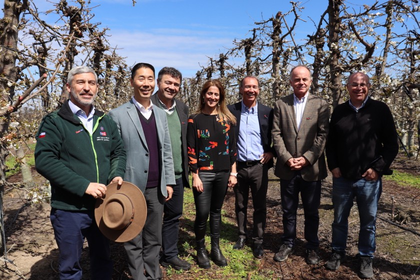 Comité de Cerezas de ASOEX lanza oficialmente la temporada de cerezas 2023-2024: Campañas de promoción se intensificarán en China y habrá una mayor inversión
