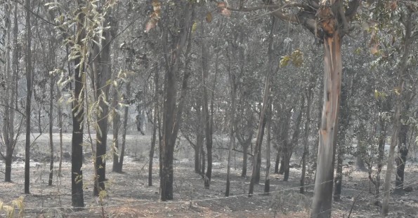 Ministro Valenzuela abordó los desafíos de la agricultura en el mediano plazo