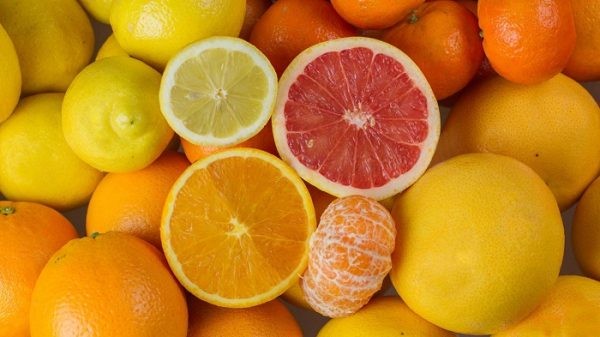 Asociación de Productores de Cítricos de Sudáfrica baja su proyección de cítricos para la actual campaña