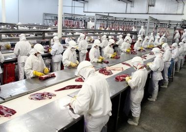 PROYECCIÓN CIERRE 2023 PARA LAS CARNES DE CHILE Y PERSPECTIVAS PARA LA PROTEÍNA ANIMAL EN 2024: UN PANORAMA DESAFIANTE SEGÚN RABOBANK Y USDA