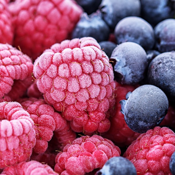 Crecen retornos de berries congelados en primer semestre de 2024: Arándanos lideran la categoría