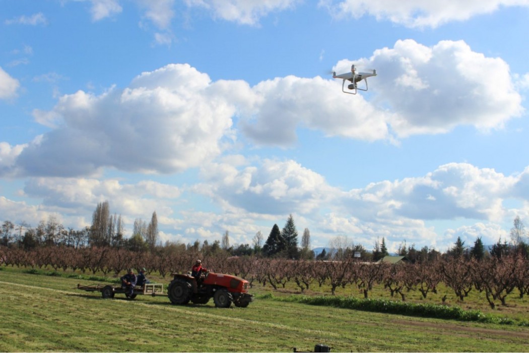 Cultivos del futuro: oportunidades y desafíos del Internet de las Cosas en la agricultura chilena