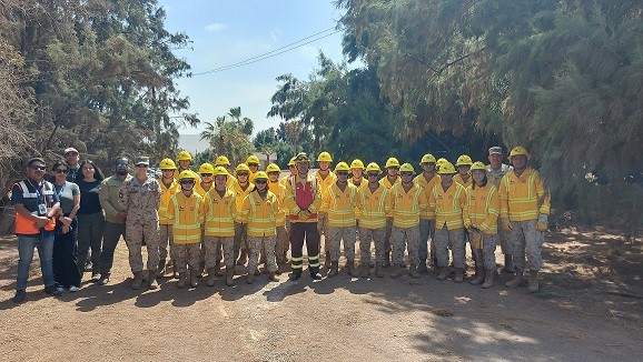 En Arica y Parinacota Corporación Nacional Forestal y el Ejército se unen contra los incendios forestales